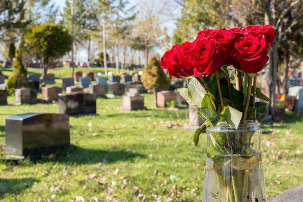 Rote Blütenpflanzen auf dem Friedhof