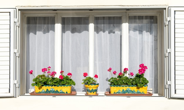 Rote Blumen auf den weißen Fensterbänken