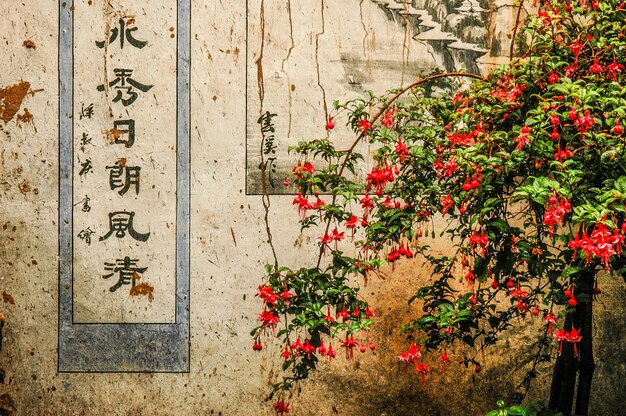 Rote Blumen und Ideogramme gemalt auf einer Wand eines taoistischen Tempels auf dem heiligen Berg Weibao Shan in Yunnan, China