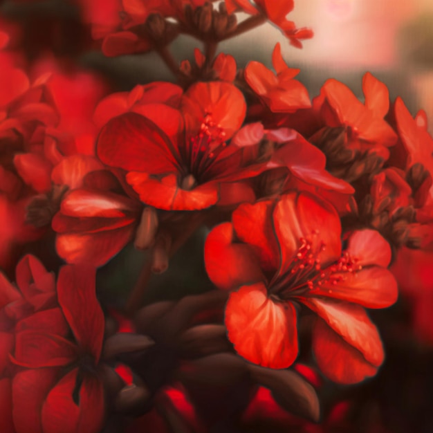 Rote Blumen