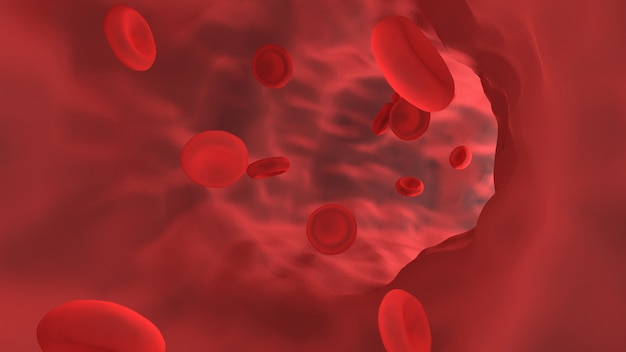 Rote Blutkörperchen im Blutgefäß.