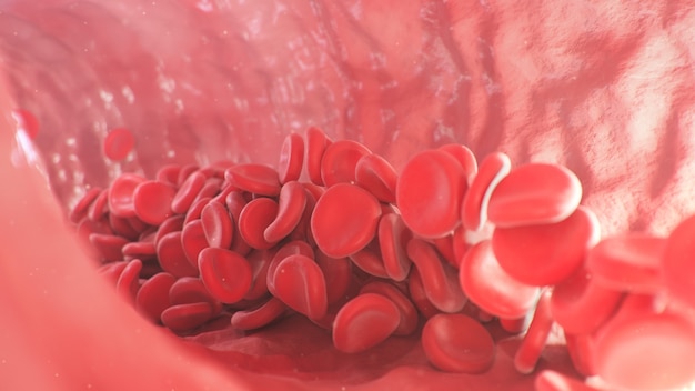 Rote Blutkörperchen in einer Arterienvene Blutfluss in einem lebenden Organismus wissenschaftlicher und medizinischer Konzepttransfer wichtiger Elemente im Blut zum Schutz des Körpers d Illustration
