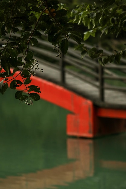 rote Brücke über die Flusslandschaft