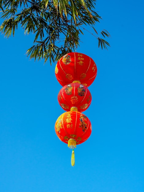 Rote chinesische hängende Laternen auf Bambusbaum.