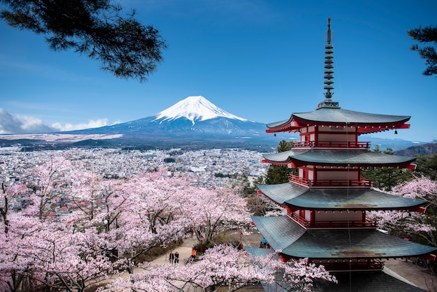 Rote Chureito-Pagode und Mt. Fuji Hintergrund im Frühjahr mit Kirschblüten