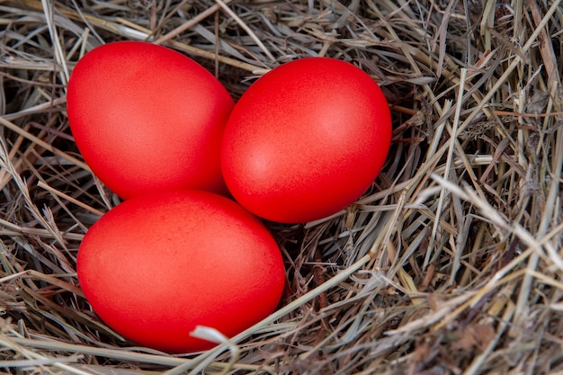 Rote Eier im Heu. Mock up, Konzept Ostern.