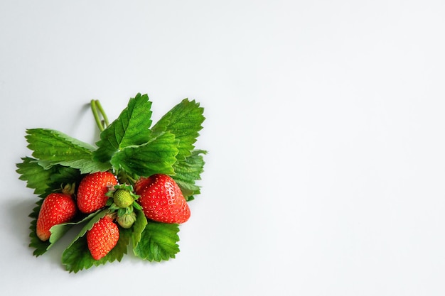 Rote Erdbeeren auf weißem Hintergrund