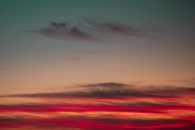 Foto rote farbe auf einem schönen cocktail