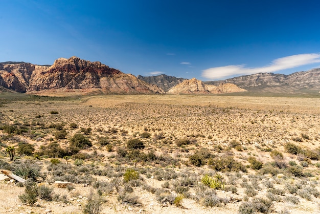 Rote felsen-schlucht las vegas nevada usa