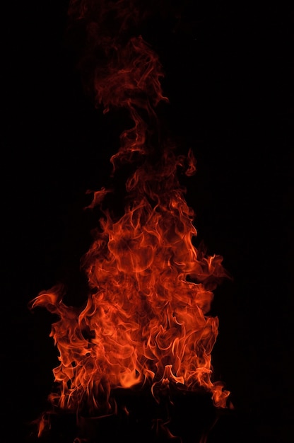 Rote Feuerflammen in einem schwarzen Hintergrund.