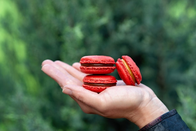 Rote französische Makronenplätzchen aus Haselnussmehl mit gesalzenem Karamell