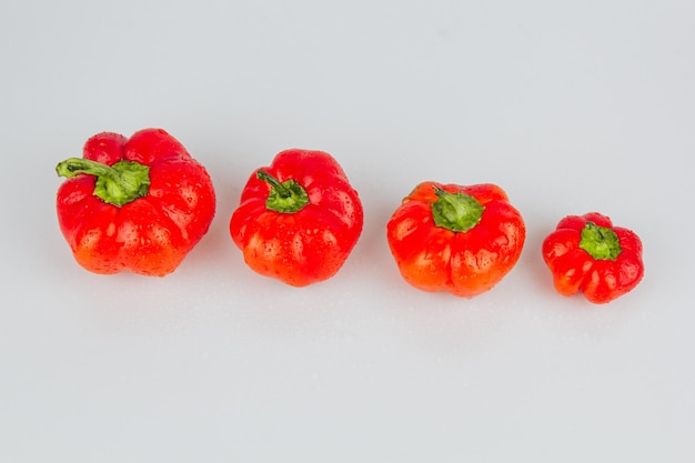 Rote frische Paprika Paprika isoliert mit Wassertropfen auf weißem Hintergrund Frische reife bunte Paprika als Hintergrund hautnah