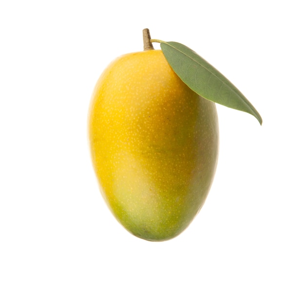 Rote gelbe Mango mit grünem Blatt auf weißem Hintergrund