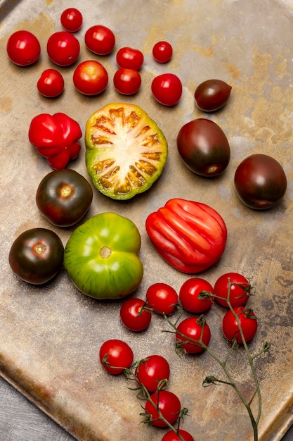 Rote grüne und dunkelrote Tomaten Chili-Tomatenzweige