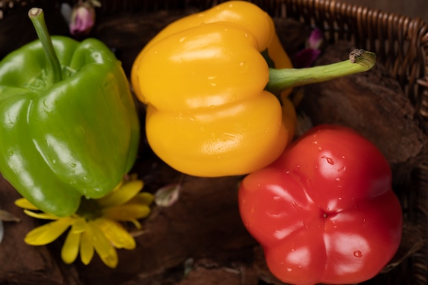 Rote, grüne und gelbe Paprika