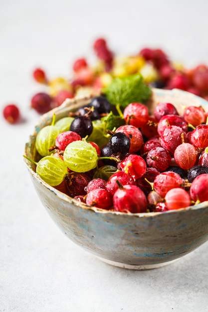 Rote, grüne und schwarze Stachelbeeren in einer Schüssel auf Grau