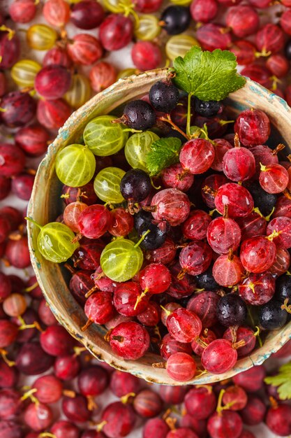 Rote, grüne und schwarze Stachelbeeren in einer Schüssel auf Grau