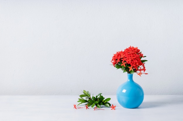 Rote Ixora-Blume im blauen keramischen Vase