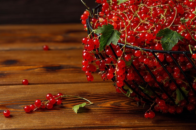 rote Johannisbeerbeeren auf dem Tisch