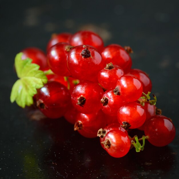 Rote Johannisbeere Beeren