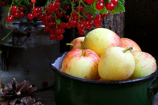 Rote Johannisbeere der Sommergartenäpfel