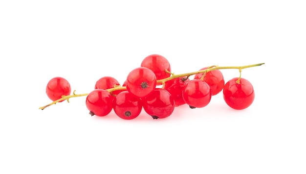 Rote Johannisbeeren mit Blatt auf weißem Hintergrund