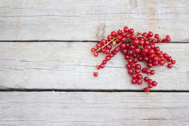 Rote Johannisbeeren