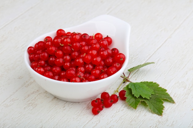 rote Johannisbeeren