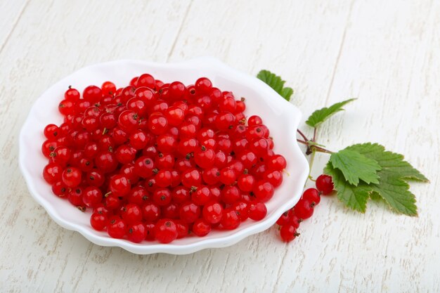 rote Johannisbeeren