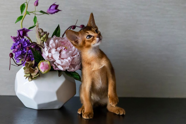 Rote Katze mit Blumenvase