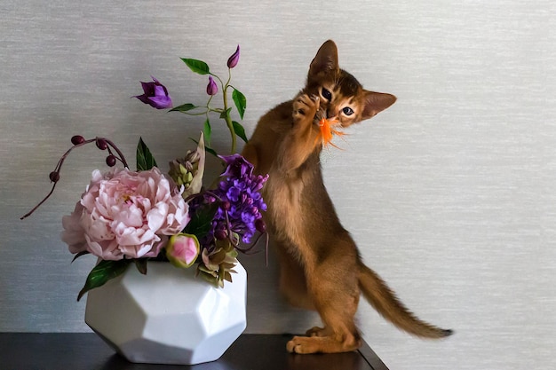 Rote Katze mit Blumenvase