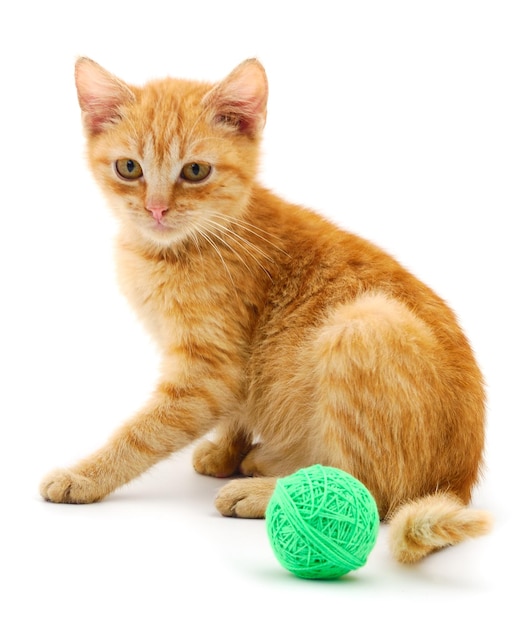 Rote Katze mit einem Ball