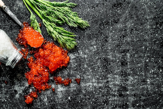 Rote Kaviarkörner mit Salz und Dill