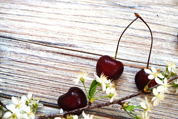 Rote Kirsche mit blühenden Niederlassungen auf weißem strukturiertem Hintergrund