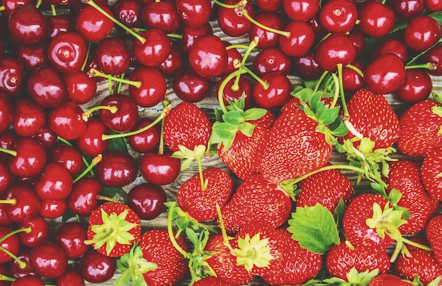 Rote Kirschen. Tiefenschärfe. Essen Natur Obst.