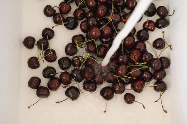 Rote Kirschen werden in der Küche in einem weißen Waschbecken gewaschen Frische rote Kirschen Reife Kirschen Hintergrund