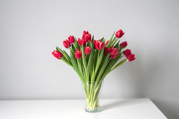 Rote Kung-Fu-Tulpen stehen in einer Glasvase auf dem Küchentisch Blumenstrauß
