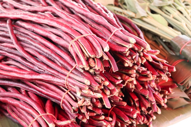 rote lange Bohnen am Markt