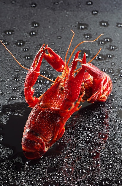 Rote Langusten mit Wassertropfen