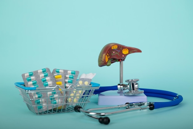 Rote Leber und Stethoskop mit einem Korb mit Pillen liegen auf blauem Hintergrund