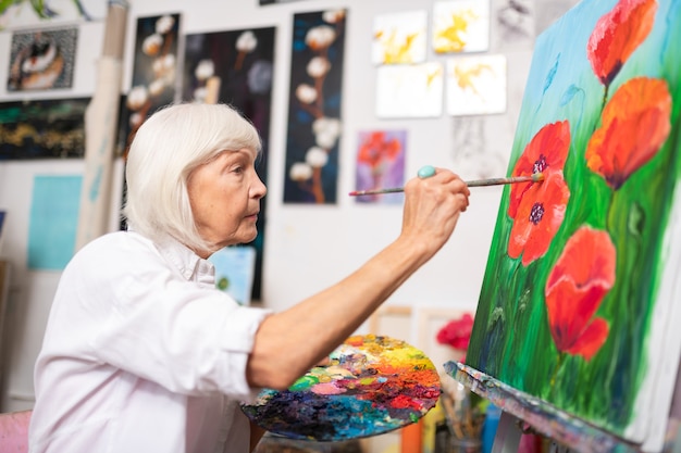 Rote Mohnblumen. Grauhaariger Künstler im Ruhestand, der Malpinsel hält und rote Mohnblumen mit Gouache malt