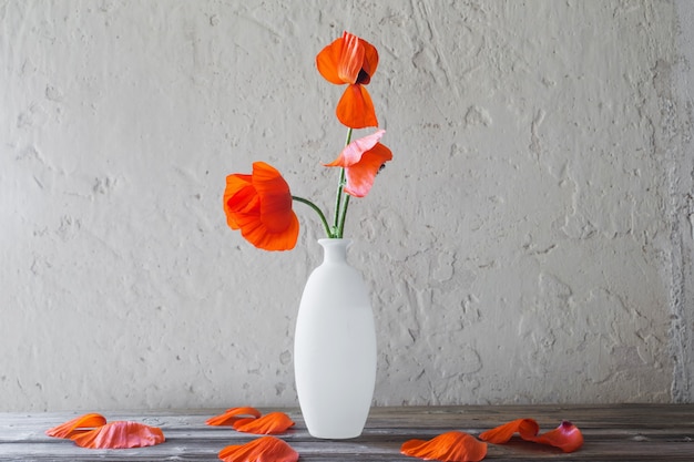 Rote Mohnblumen in weißer Vase auf weißem Hintergrund