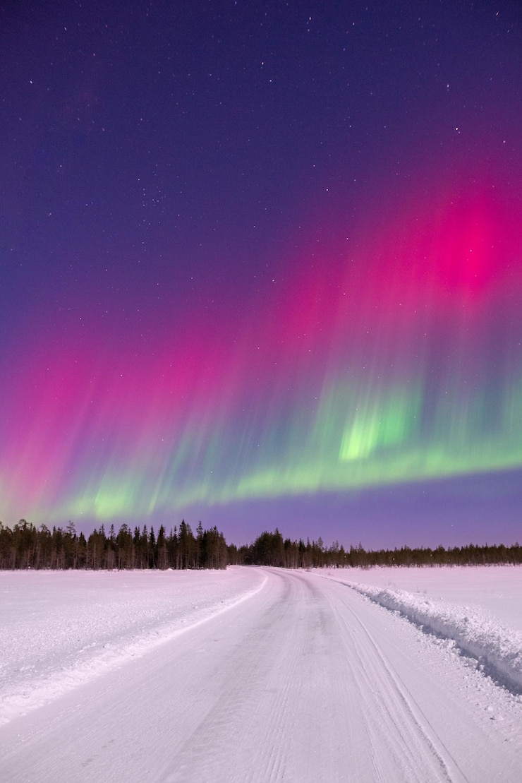 Foto rote nordlichter gegen den nachthimmel