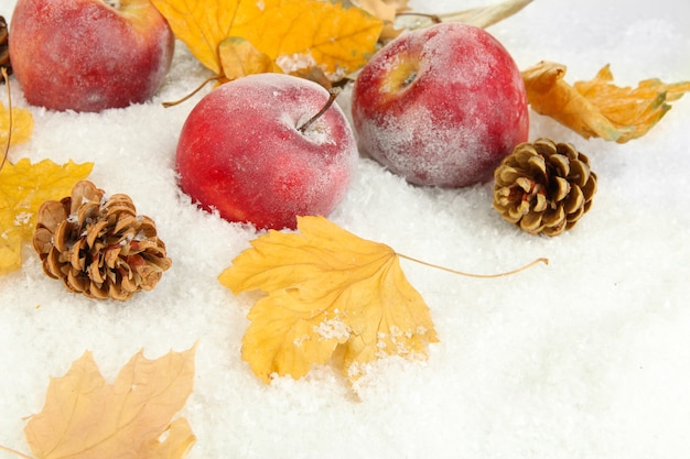 Rote Äpfel im Schnee hautnah