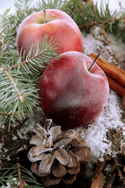 Rote Äpfel mit Tannenzweigen auf Rinde im Schnee hautnah