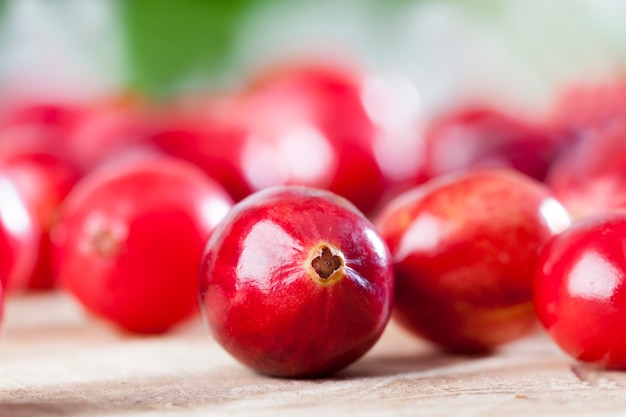 rote Preiselbeeren