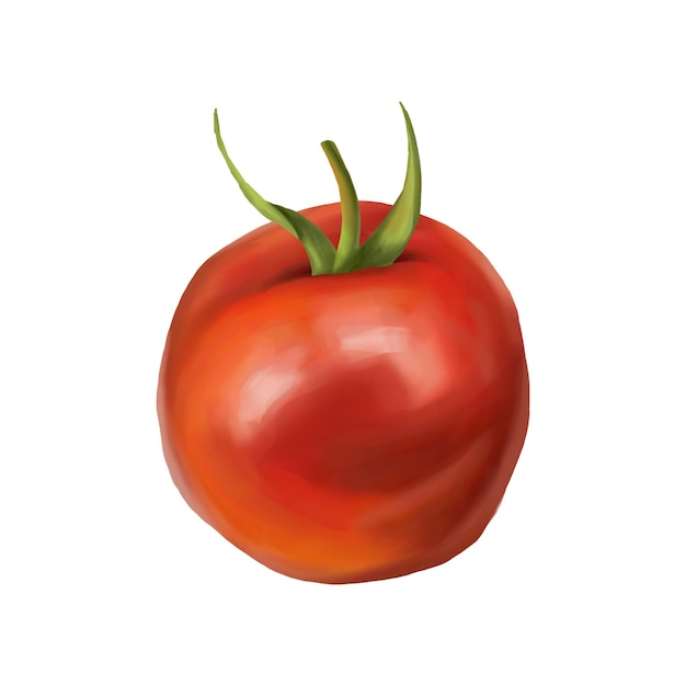 Rote reife fleischige Tomate Digitale Illustration auf weißem Hintergrund