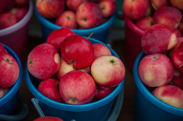 Rote reife Äpfel im Eimer.