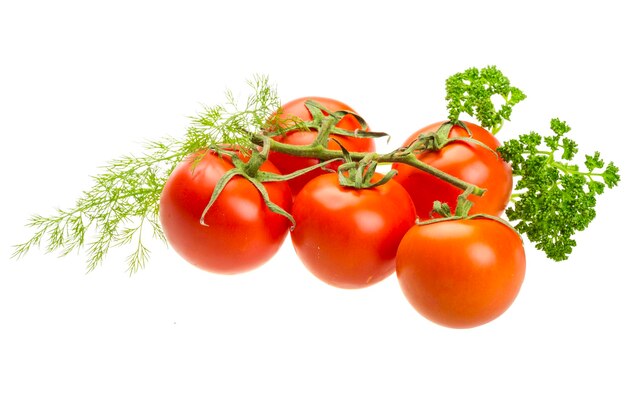 Rote reife Tomaten auf dem Ast