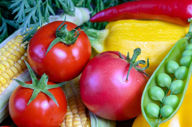 Rote reife Tomaten rote Chilischote Mais grüne Erbsen und gelber Paprika